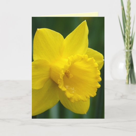 Narcis Kaarten Gepersonaliseerde Narcis Bloem Kaar (Voorkant)