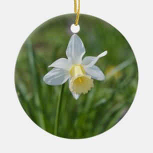 Narcis Keramisch Ornament