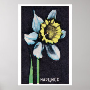 Narcis - Matchbox Print - Esthetische Wanddecorati