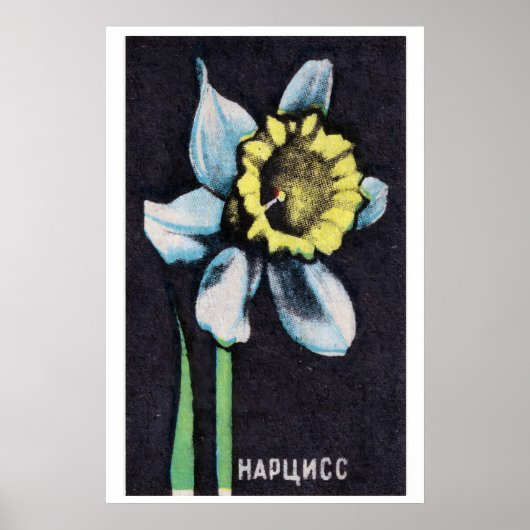 Narcis - Matchbox Print - Esthetische Wanddecorati (Voorkant)
