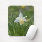 Narcis Muismat (Met muis)