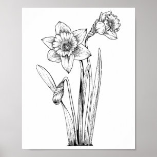 Narcis Narcissen Bloemen Bloemrijk Lente Pasen Poster
