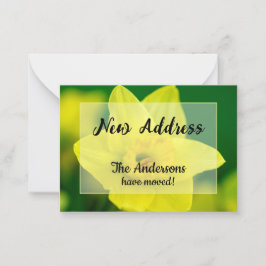 Narcis Nieuw Adres Aankondiging