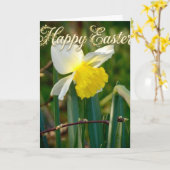 Narcis & Pasen wensen Kaart (Gele Bloem)
