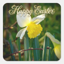 Narcis & Pasen wensen