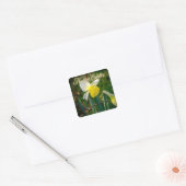 Narcis & Pasen wensen Vierkante Sticker (Envelop)
