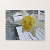 Narcis portretpuzzel legpuzzel (Horizontaal)