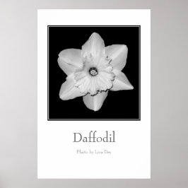 'Narcis' Poster