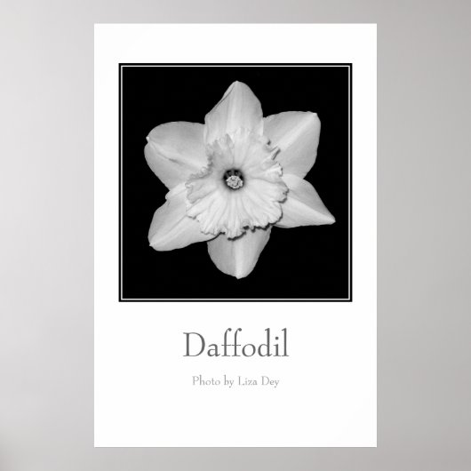 'Narcis' Poster (Voorkant)