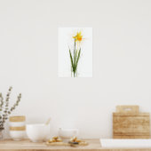 Narcis Poster (Keuken)