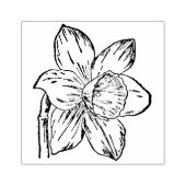 Narcis stempel (Afrduk)