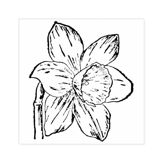 Narcis stempel (Afrduk)