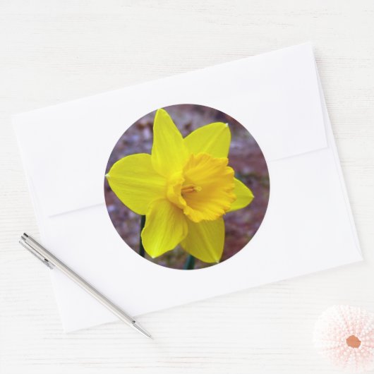 narcis sticker (Envelop)