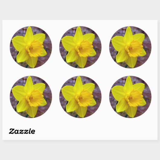 narcis sticker (Vel)