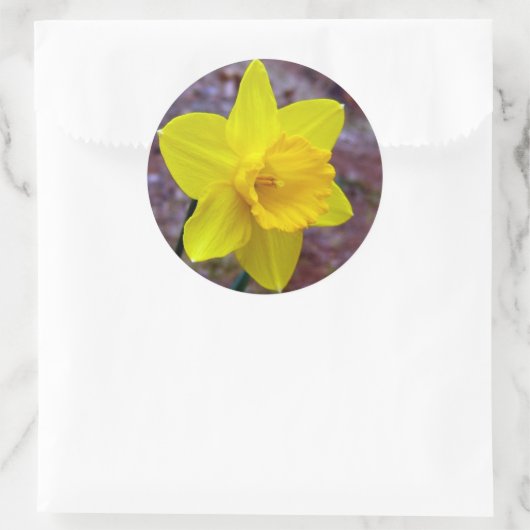 narcis sticker (Tas)