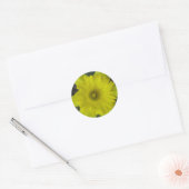 narcis sticker (Envelop)