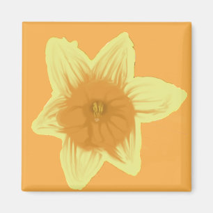 narcis vierkante magneet