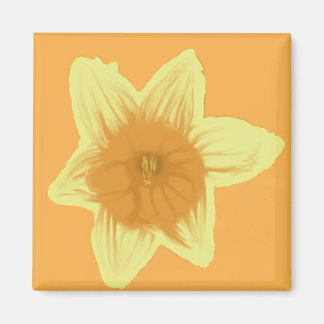 narcis vierkante magneet