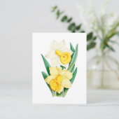 Narcis Vintage Botanische Ansichtkaart Briefkaart (Staand voorkant)