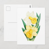 Narcis Vintage Botanische Ansichtkaart Briefkaart (Voorkant / Achterkant)