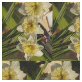 narcis voor het voorjaar stof (Close Up)