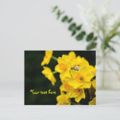 Narcissen ansichtkaart briefkaart (Staand voorkant)
