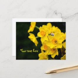 Narcissen ansichtkaart briefkaart
