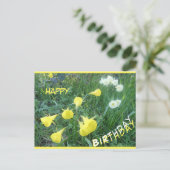 Narcissen Arctic Bells Gefeliciteerd kaart (Staand voorkant)