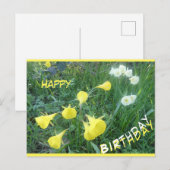 Narcissen Arctic Bells Gefeliciteerd kaart (Voorkant / Achterkant)