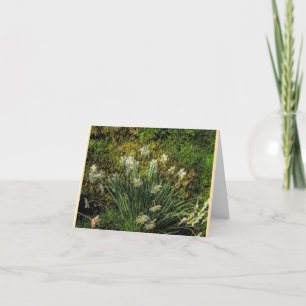 Narcissen bij Stenton House Vouw Notitiekaart