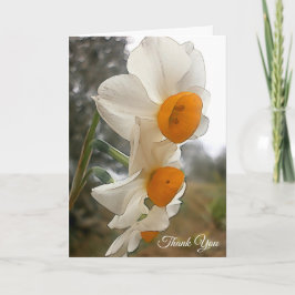 Narcissen. Bloem Bedankkaart