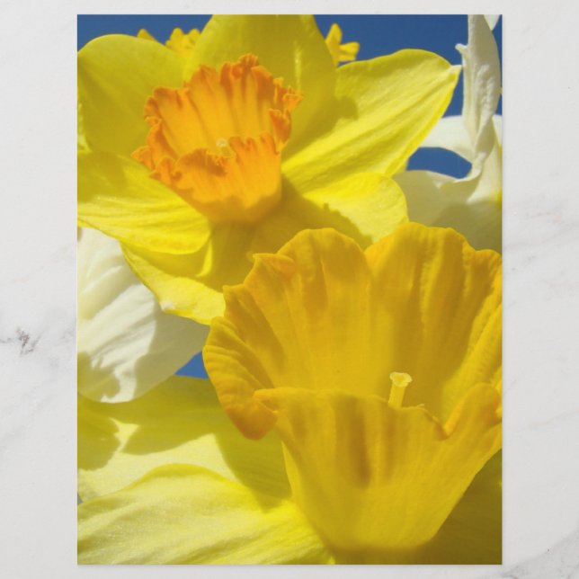 Narcissen Bloemen Scrapbooking papier Scrapbook (Voorkant)
