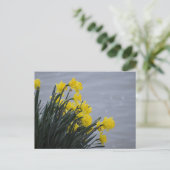 Narcissen briefkaart (Staand voorkant)