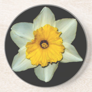 Narcissen Close-up Onderzetter