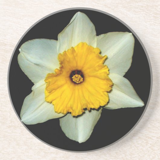 Narcissen Close-up Onderzetter (Voorkant)