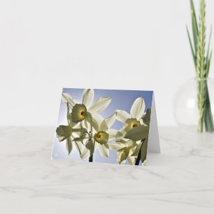 Narcissen die bloeien met een lente blauwe lucht bedankkaart
