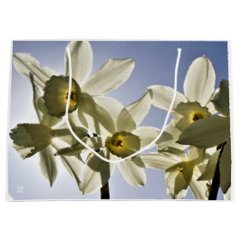 Narcissen die bloeien met een lente blauwe lucht  groot cadeauzakje