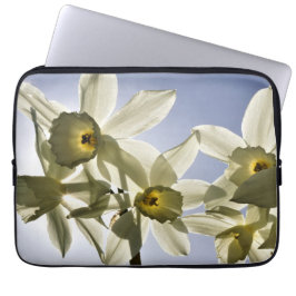 Narcissen die bloeien met een lente blauwe lucht laptop sleeve