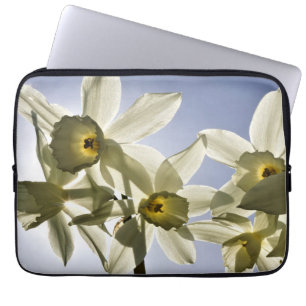 Narcissen die bloeien met een lente blauwe lucht laptop sleeve