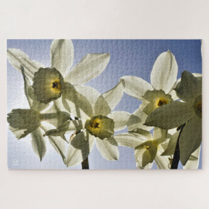 Narcissen die bloeien met een lente blauwe lucht legpuzzel