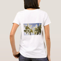 Narcissen die bloeien met een lente blauwe lucht 