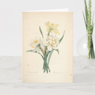 Narcissen door Redoute de Botanical Kaart van de