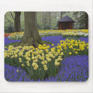 Narcissen, druifhyacint en tulpen tuin, muismat