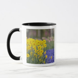 Narcissen en druifhyacint, Keukenhof Mok