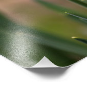 Narcissen Foto Afdruk (Hoek)