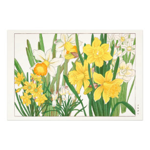 Narcissen Houtsnede Schilderij, Tanigami Kônan, 19 Foto Afdruk