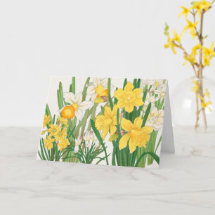 Narcissen-houtsnede schilderij, Tanigami Kônan, 19 Kaart