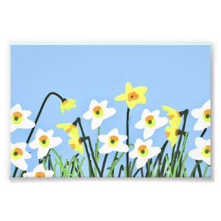 Narcissen in de lente – Hedendaagse kunst Foto Afdruk