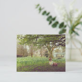 Narcissen in Limerick Briefkaart (Staand voorkant)
