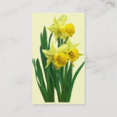 Narcissen Lang en Kort Visitekaartje (Achterkant)